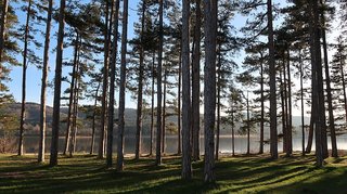 Lac de Saint-Ferréol in the Montagne Noire on a sunny day (Mich-nguyen, CC BY-SA 4.0 <https://creativecommons.org/licenses/by-sa/4.0>, via Wikimedia Commons) Lac de Saint-Ferréol in the Montagne Noire on a sunny day (Mich-nguyen, CC BY-SA 4.0 <https://creativecommons.org/licenses/by-sa/4.0>, via Wikimedia Commons)