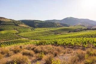 Hérault, Occitanie, France Hérault, Occitanie, France